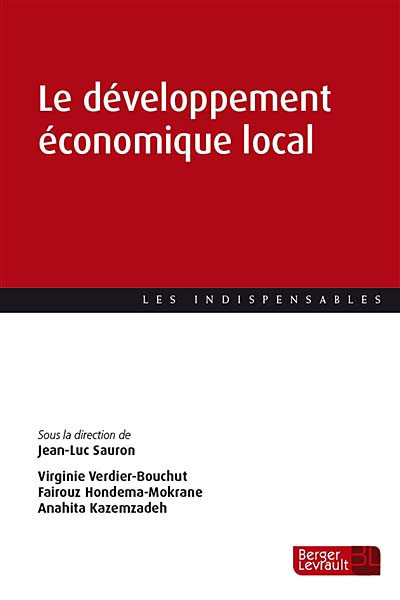 le-developpement-economique-local-9782701320236