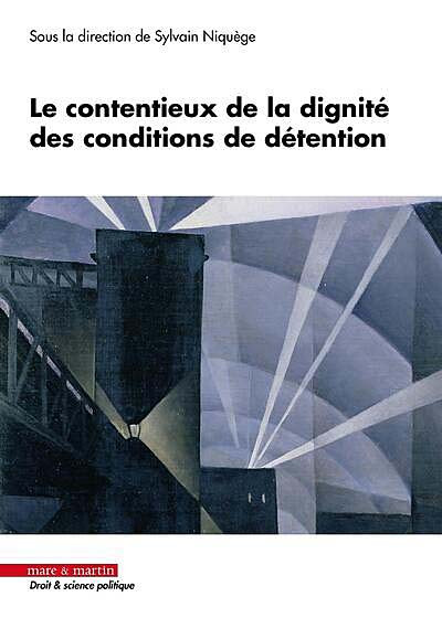 le-contentieux-de-la-dignite-des-conditions-de-detention-9782849348024