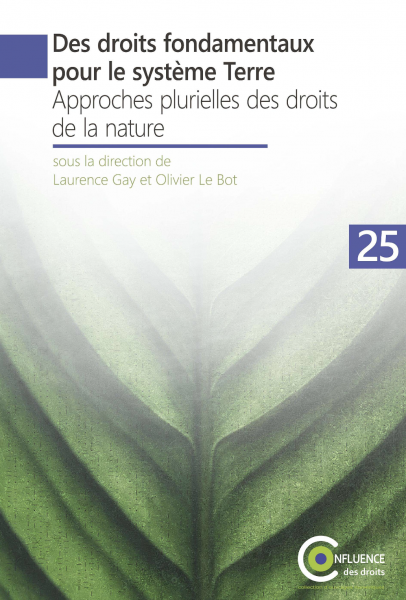 Des droits fondamentaux pour le système Terre