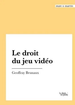Le droit du jeu vid&eacute;o