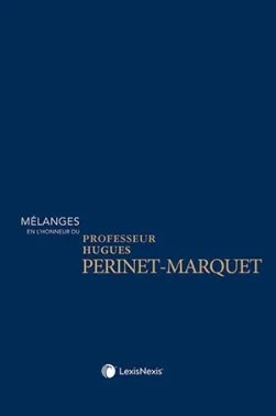 M&eacute;langes en l'honneur du professeur Hugues Perinet-Marquet