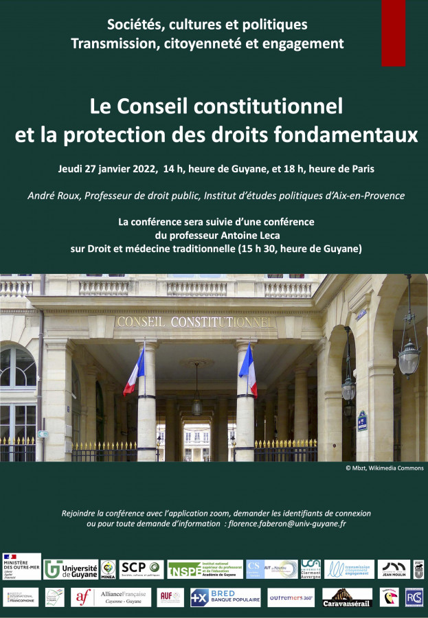 Le Conseil constitutionnel et la protection des droits fondamentaux