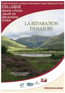 La réparation en nature